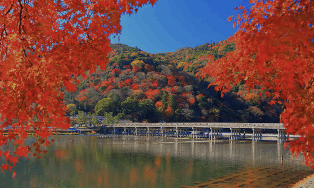 京都嵐山紅葉狩り