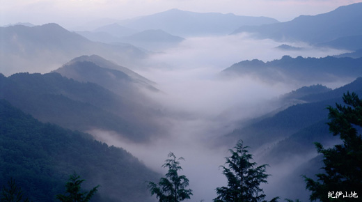 紀伊山地の霊場と参詣道:信仰の道が結ぶ神仏習合の聖地(三重県・奈良県・和歌山県)